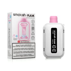 PUFF - SMOKAH - 10000 - PÊCHE ICE